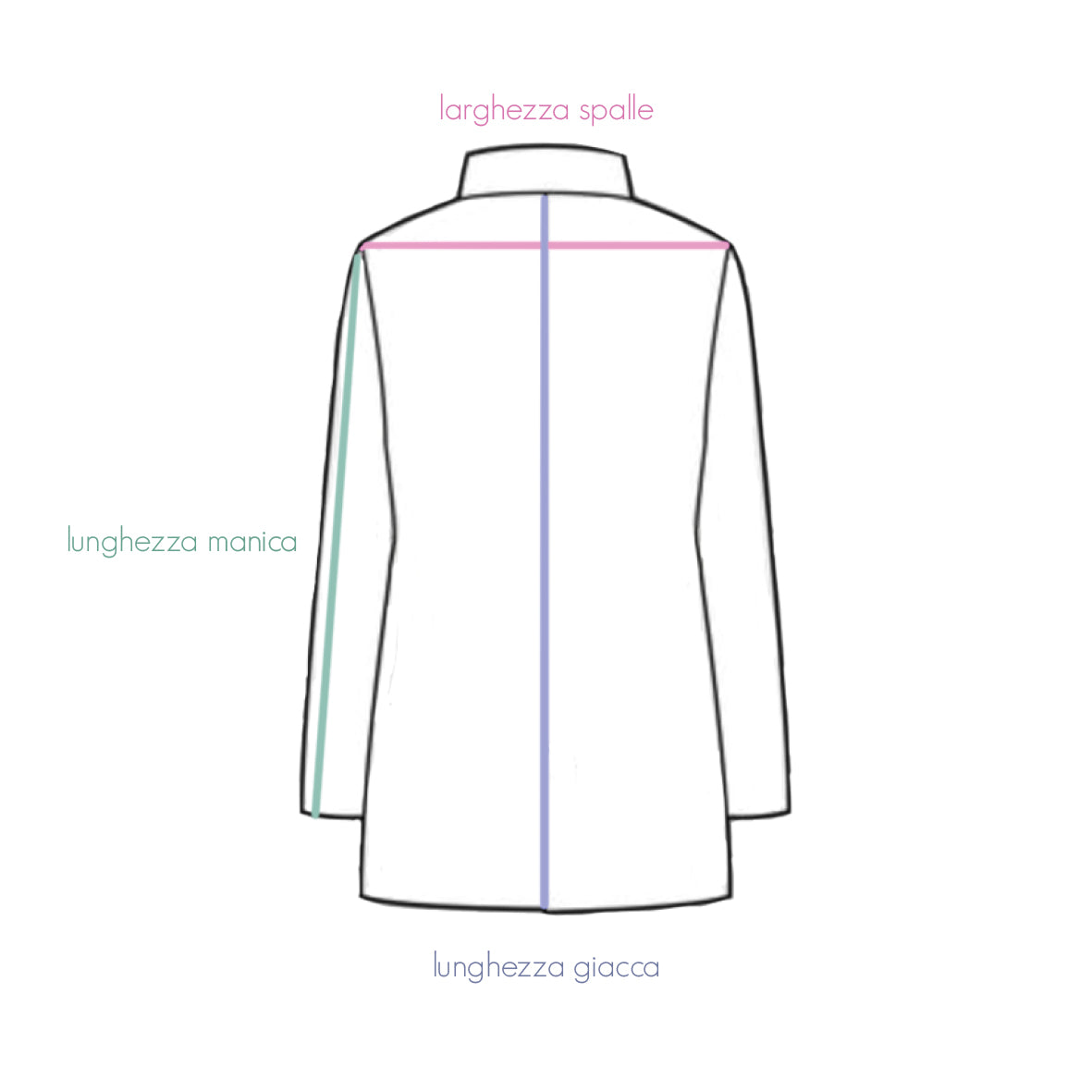 Blazer anatomie